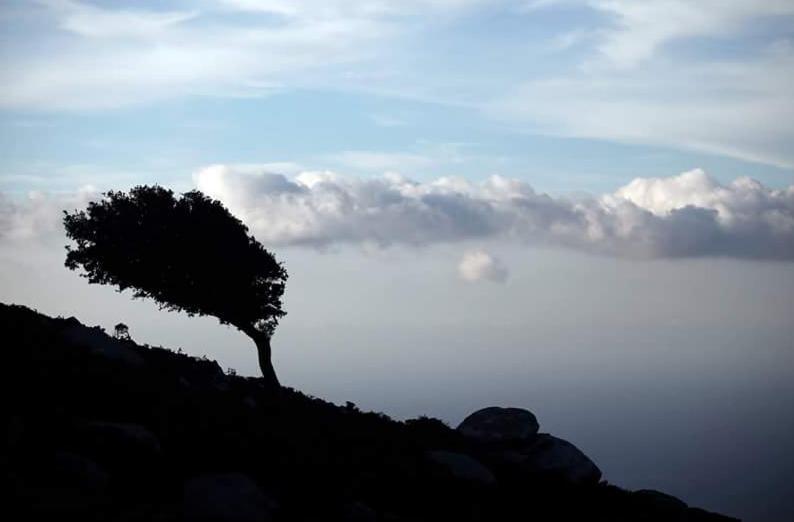 Ikaria Studios Manganitis Luaran gambar