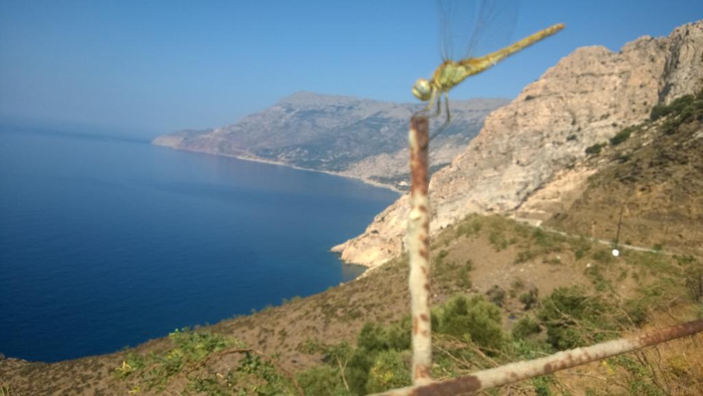 Ikaria Studios Manganitis Luaran gambar